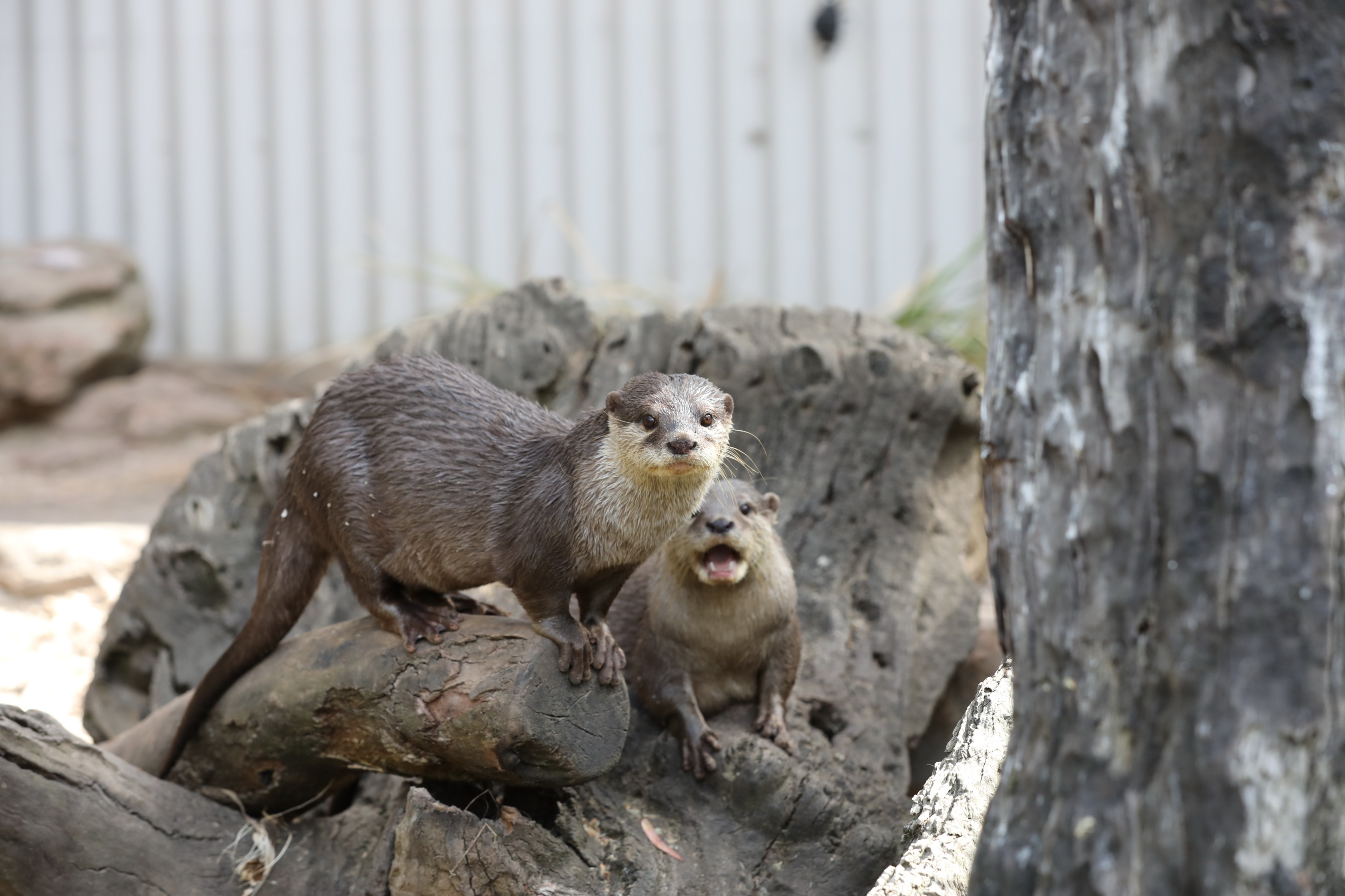 2019 11 22 16 43 11 Canon EOS 5D Mark IV 0037